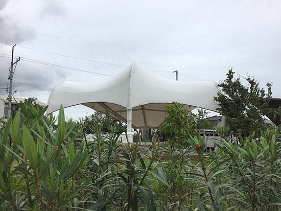 膜结构景观遮阳棚多少钱一平方？